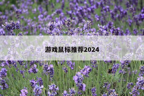 游戏鼠标推荐2024