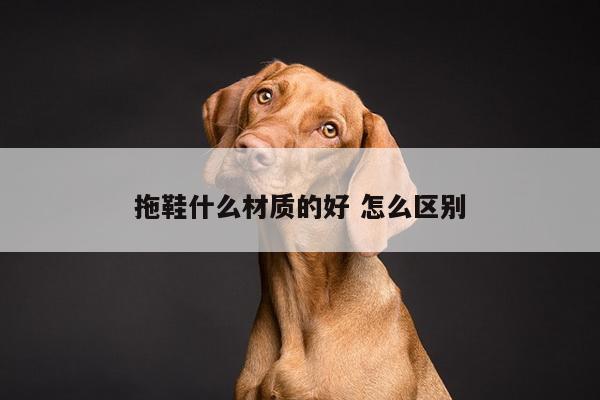 拖鞋什么材质的好 怎么区别