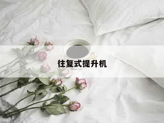 往复式提升机
