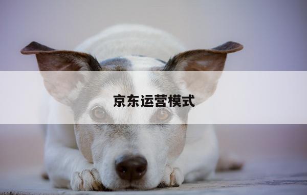 京东运营模式