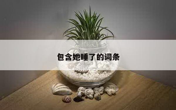 包含她睡了的词条
