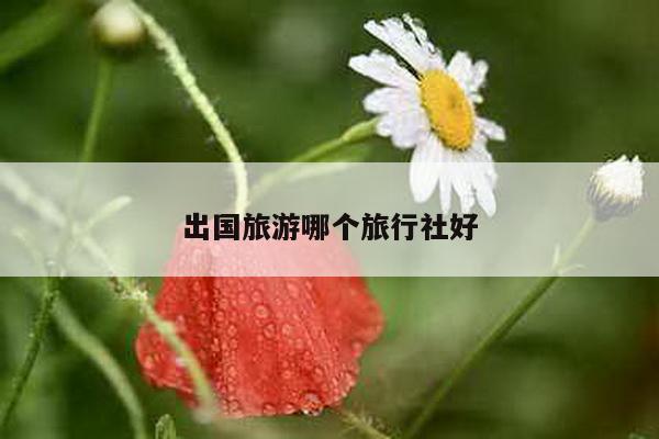 出国旅游哪个旅行社好