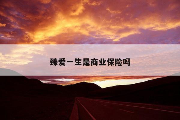 臻爱一生是商业保险吗