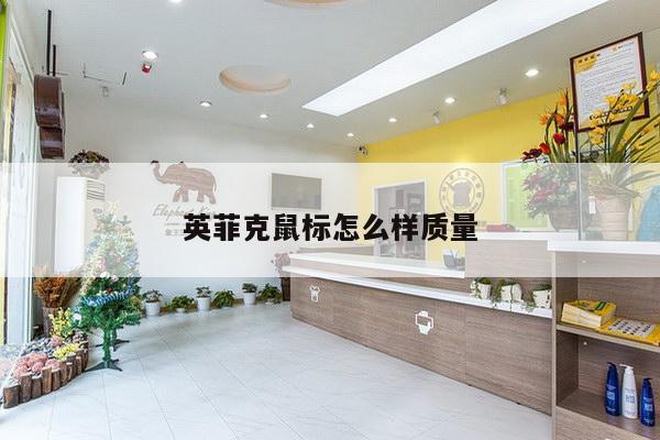 英菲克鼠标怎么样质量