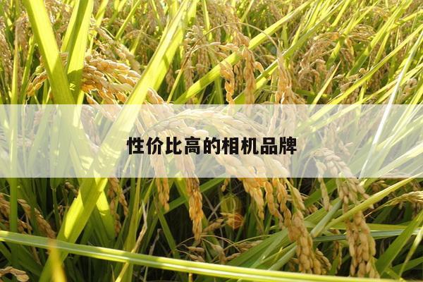 性价比高的相机品牌