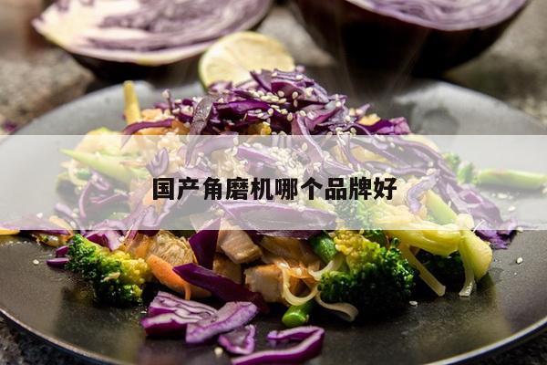 国产角磨机哪个品牌好