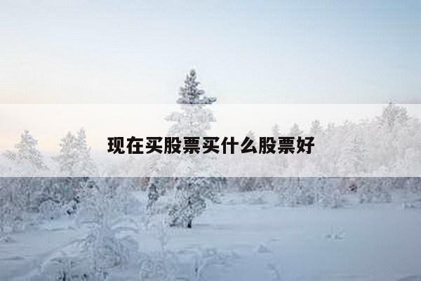 现在买股票买什么股票好