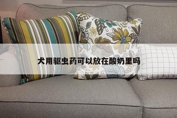 犬用驱虫药可以放在酸奶里吗