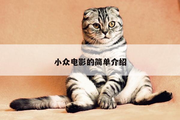 小众电影的简单介绍