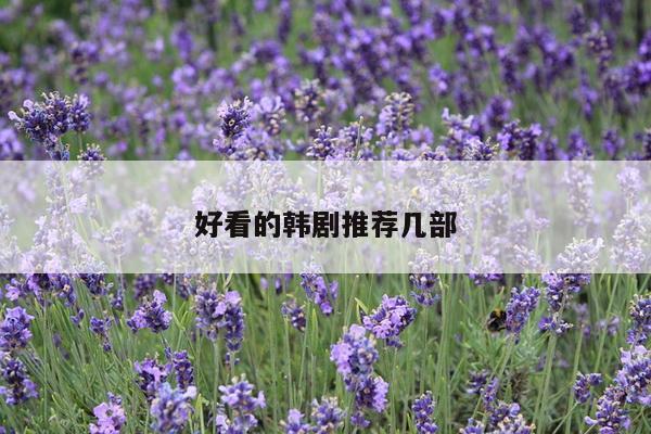 好看的韩剧推荐几部