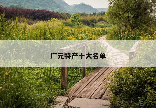 广元特产十大名单