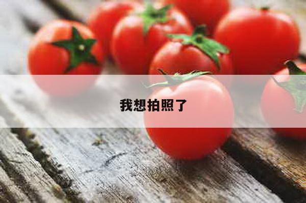 我想拍照了