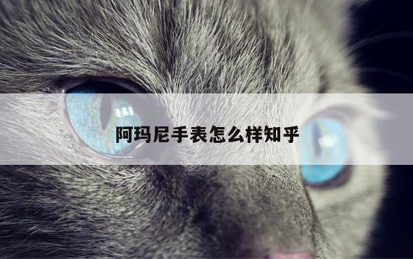 阿玛尼手表怎么样知乎