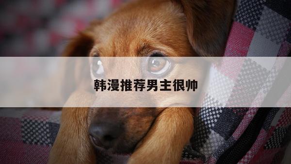 韩漫推荐男主很帅