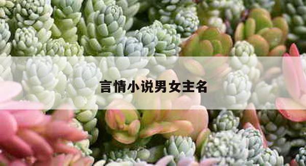 言情小说男女主名