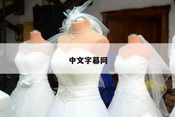 中文字幕网