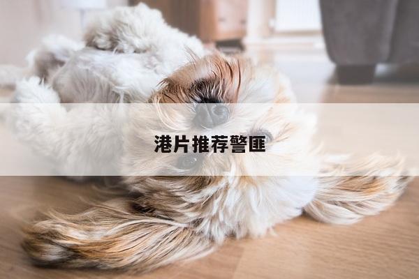 港片推荐警匪