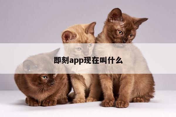 即刻app现在叫什么
