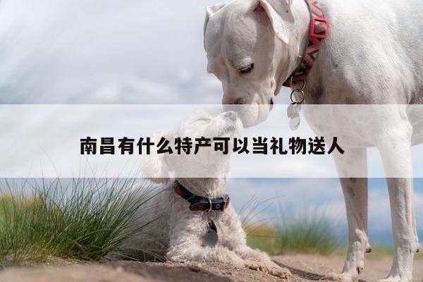 南昌有什么特产可以当礼物送人