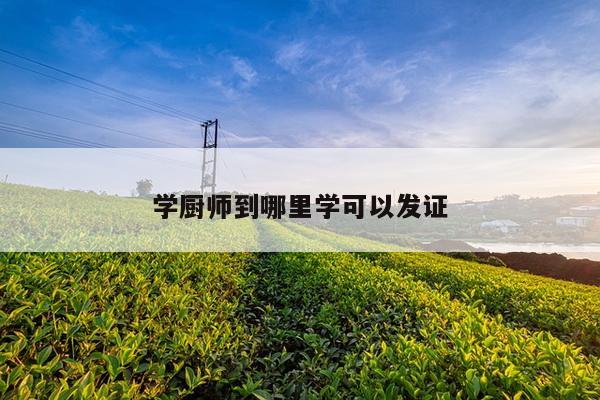 学厨师到哪里学可以发证