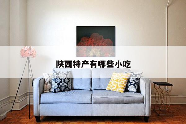 陕西特产有哪些小吃