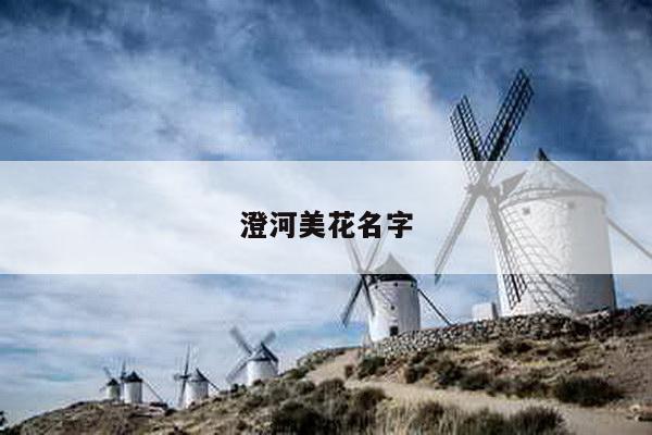 澄河美花名字