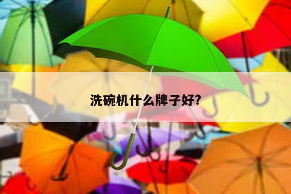 洗碗机什么牌子好?