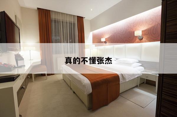 真的不懂张杰