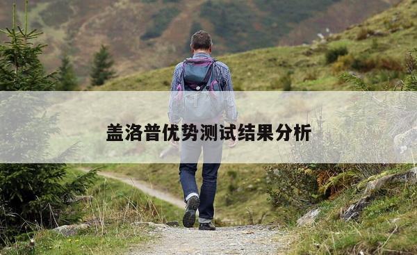 盖洛普优势测试结果分析