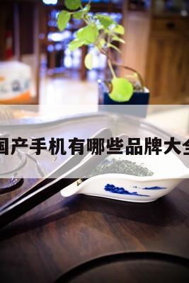 国产手机有哪些品牌大全