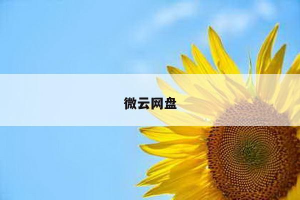 微云网盘
