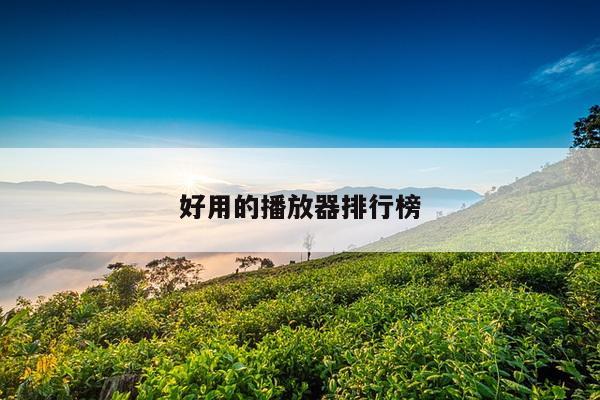 好用的播放器排行榜