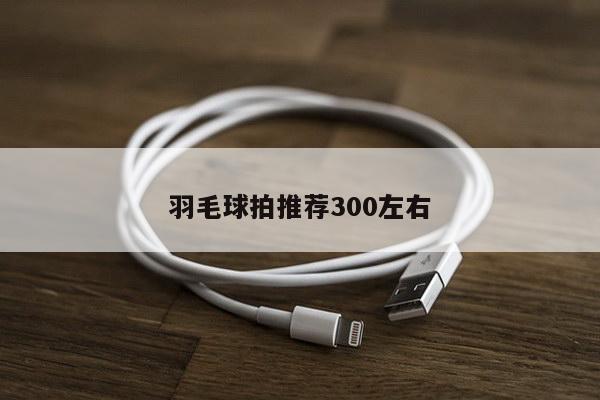 羽毛球拍推荐300左右