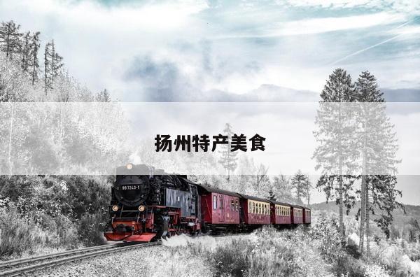 扬州特产美食