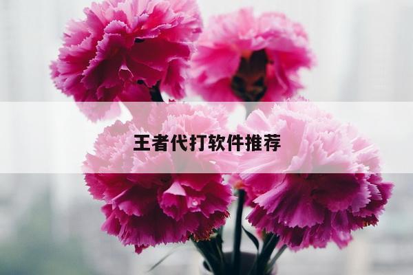 王者代打软件推荐