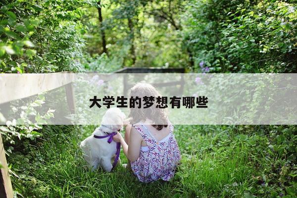 大学生的梦想有哪些