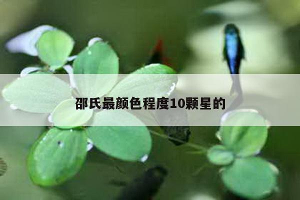 邵氏最颜色程度10颗星的
