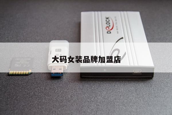 大码女装品牌加盟店