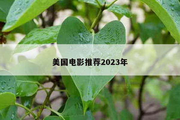 美国电影推荐2023年