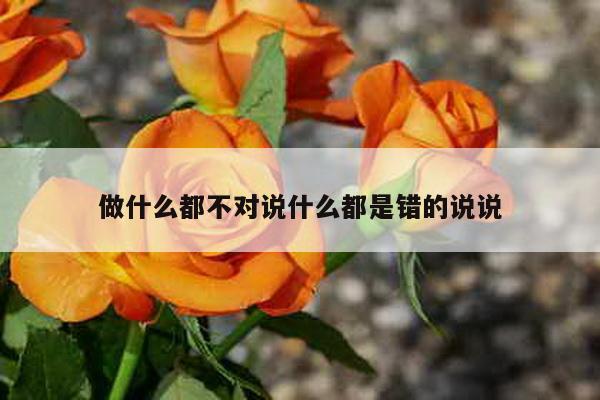 做什么都不对说什么都是错的说说