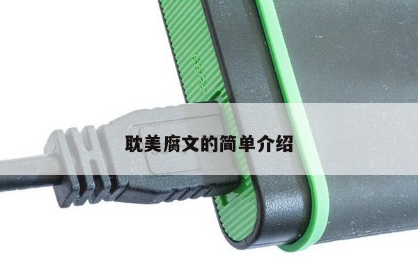 耽美腐文的简单介绍