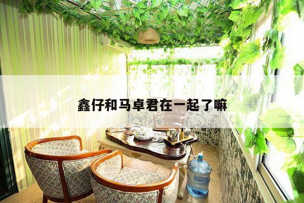 鑫仔和马卓君在一起了嘛