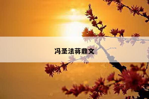 冯圣法蒋鼎文