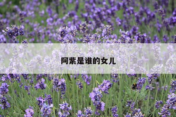阿紫是谁的女儿