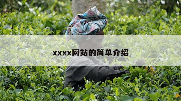 xxxx网站的简单介绍