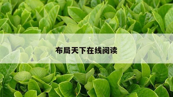 布局天下在线阅读