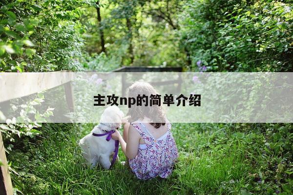 主攻np的简单介绍