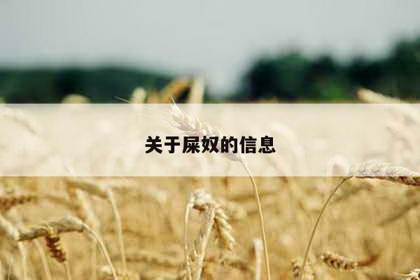 关于屎奴的信息