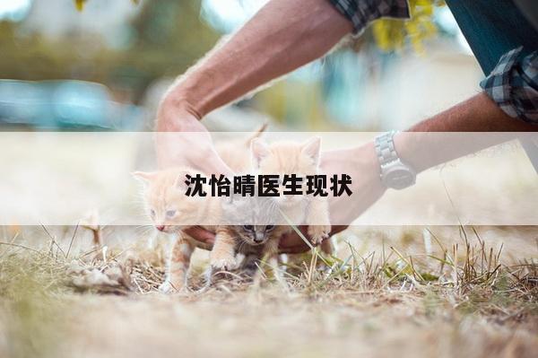 沈怡晴医生现状