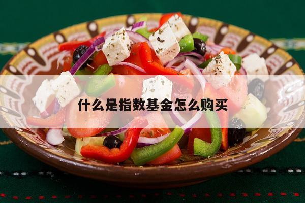 什么是指数基金怎么购买